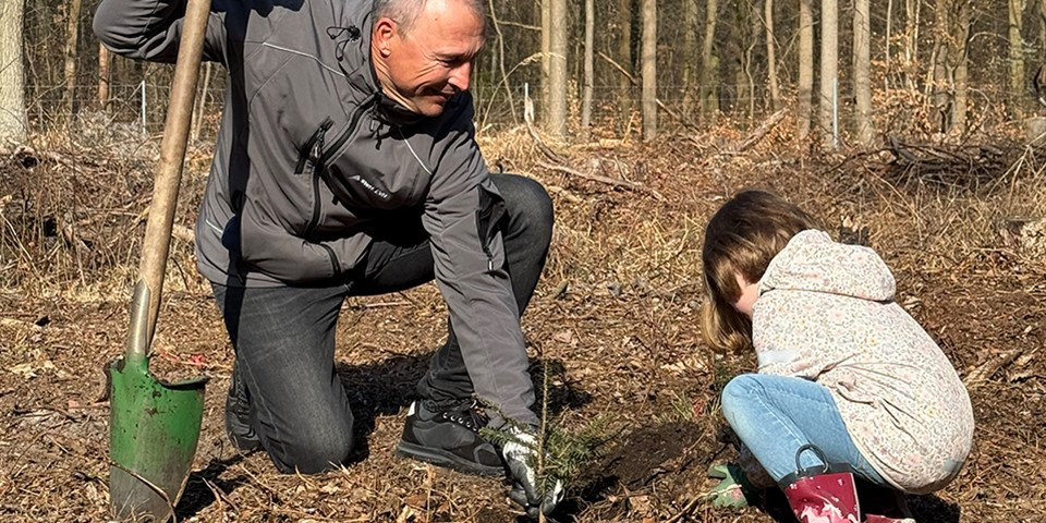 Olaf Schneider pflanzt einen Baum.