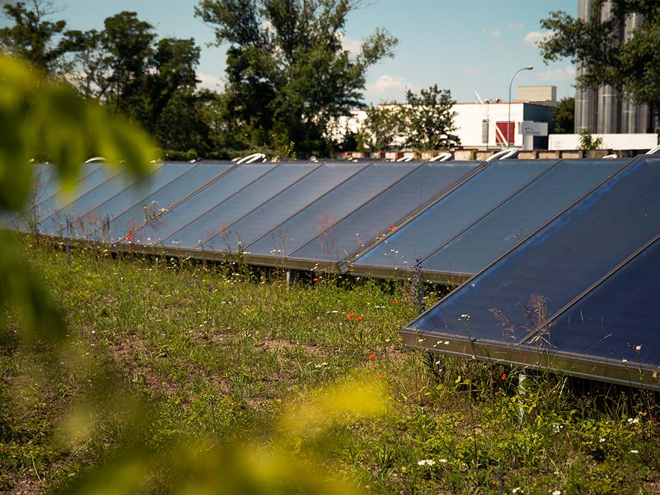 Solarthermie-Anlage zur Nutzung von Sonnenenergie